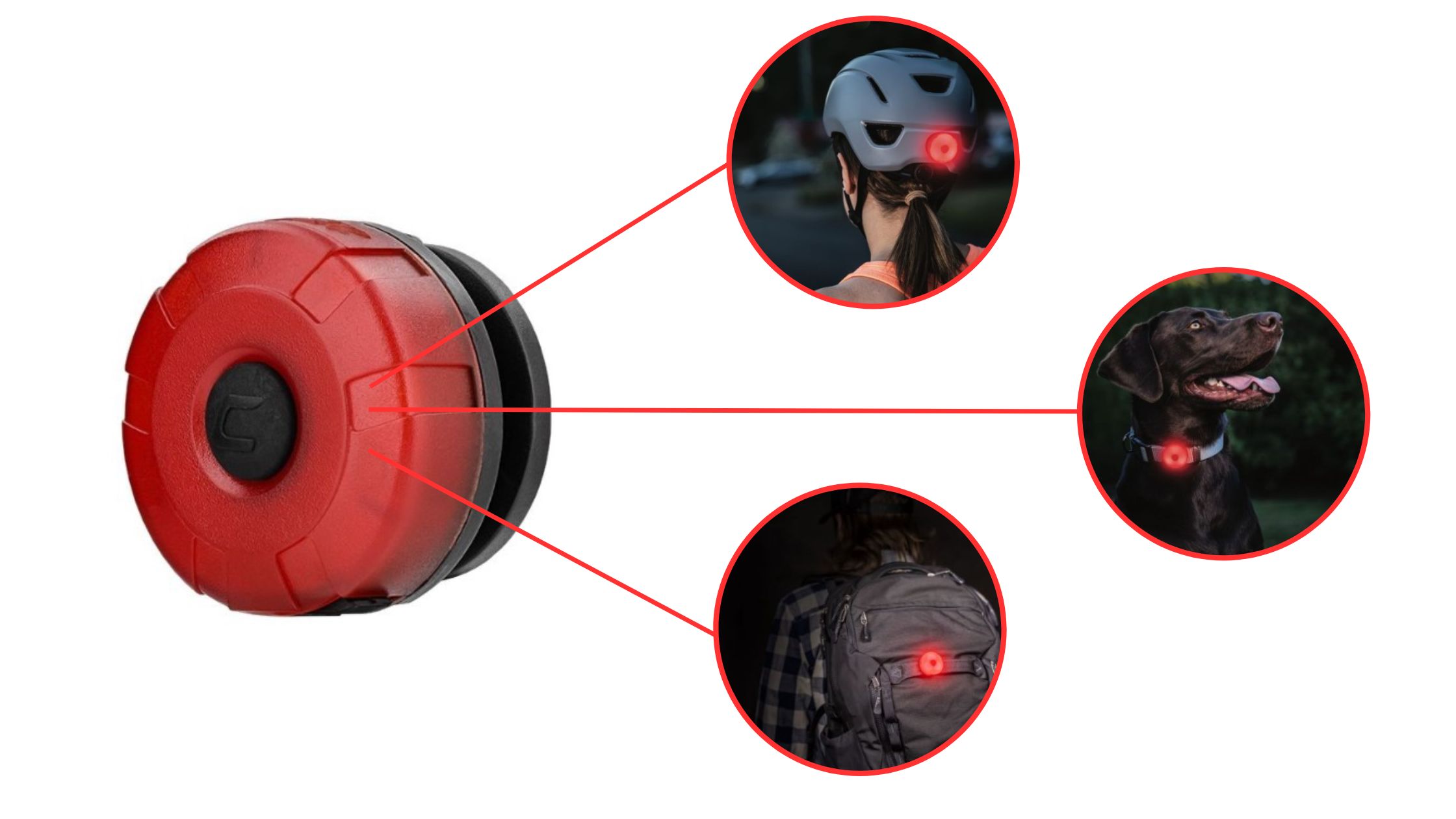 e.Rad.Direkt COAST SL1R